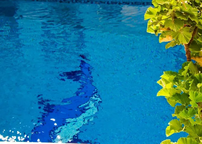 レタ サントリーニ